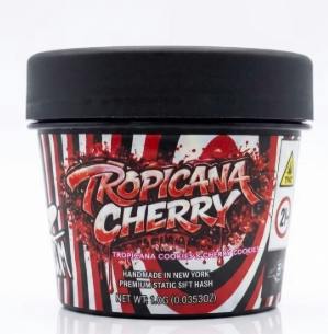 Static Room | Tropicana Cherry | Static Sift Hash
