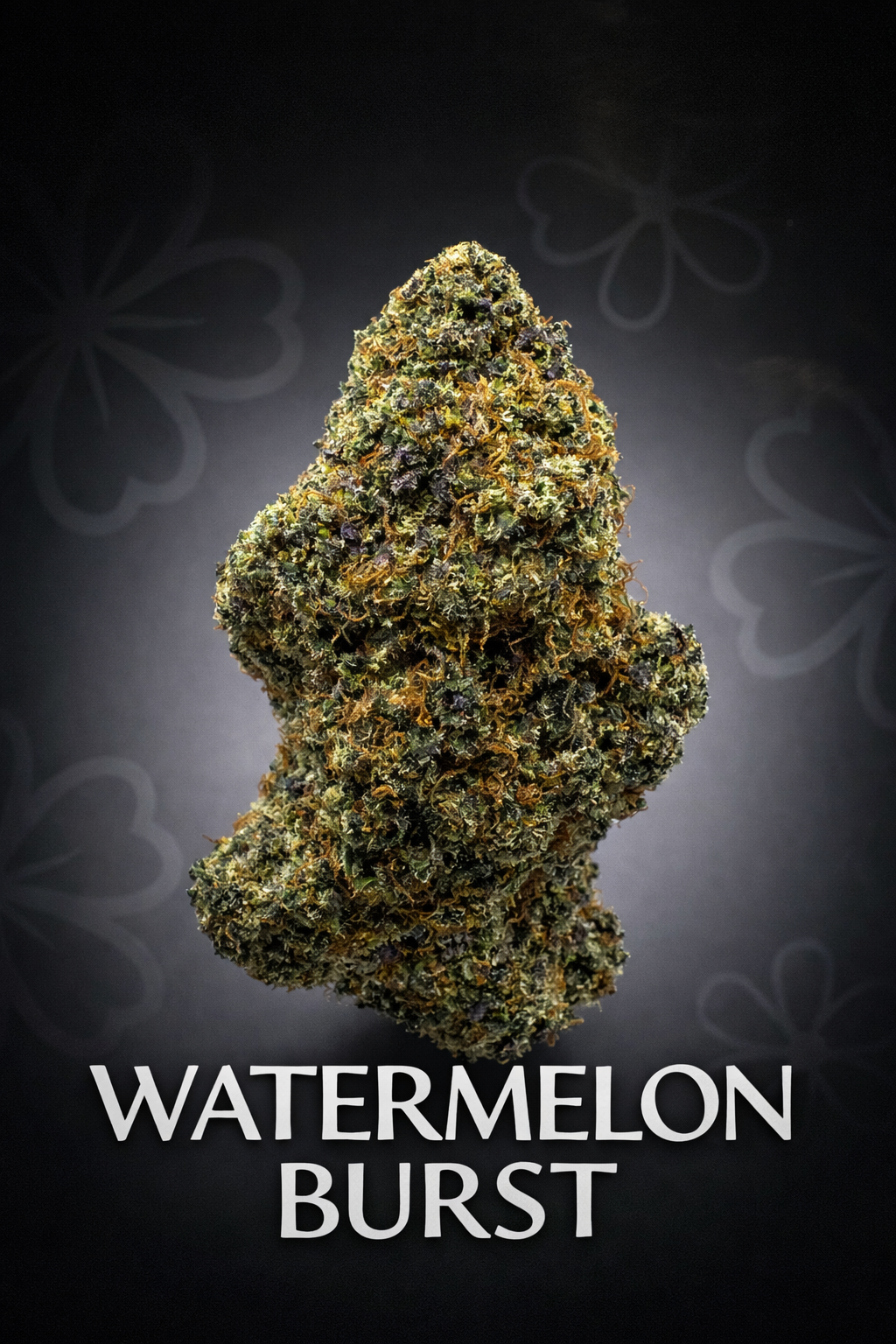 Watermelon Burst | Bulk Flower