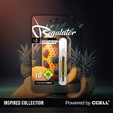 Pineapple Orange Soda | 1g