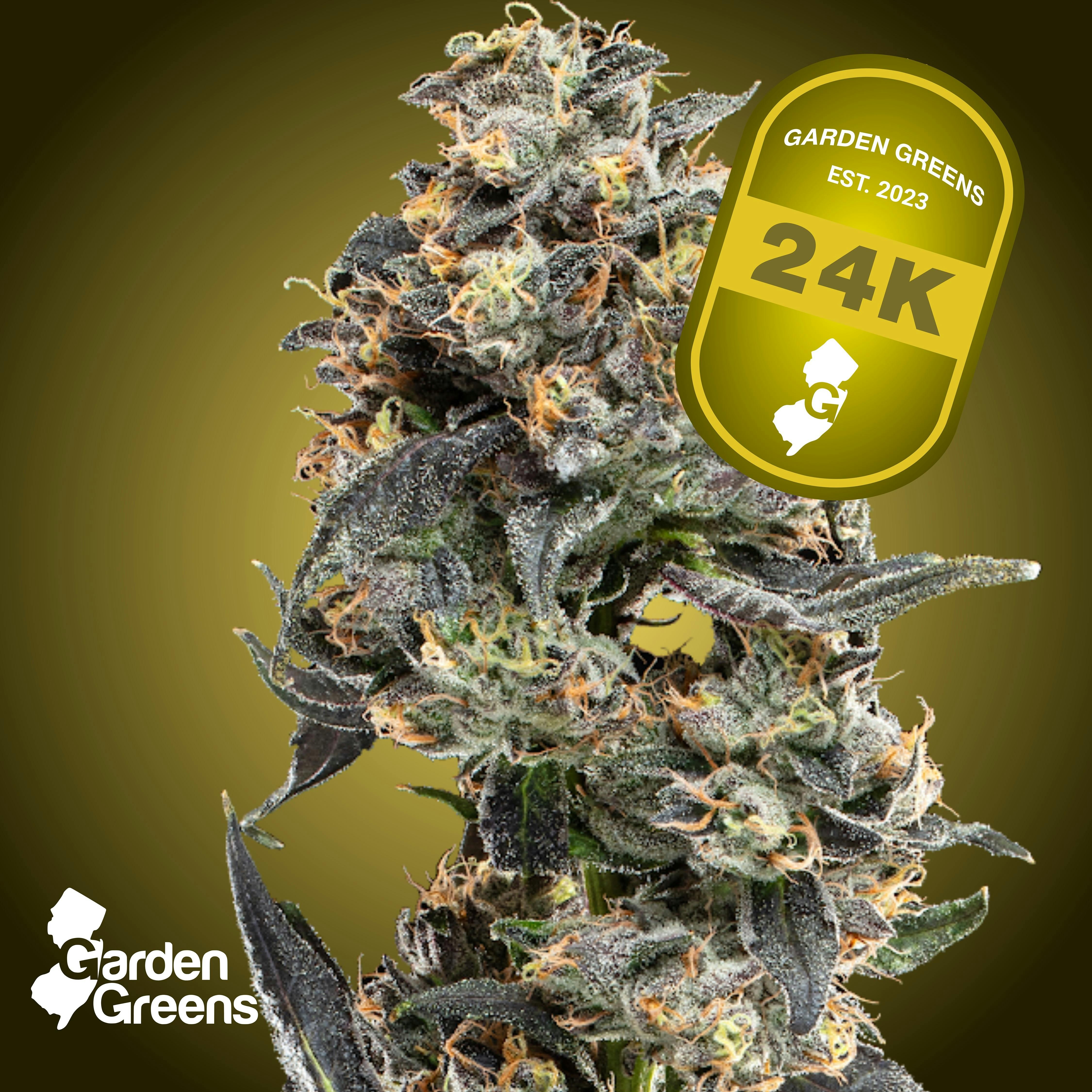 24K Big Buds  (Sativa)