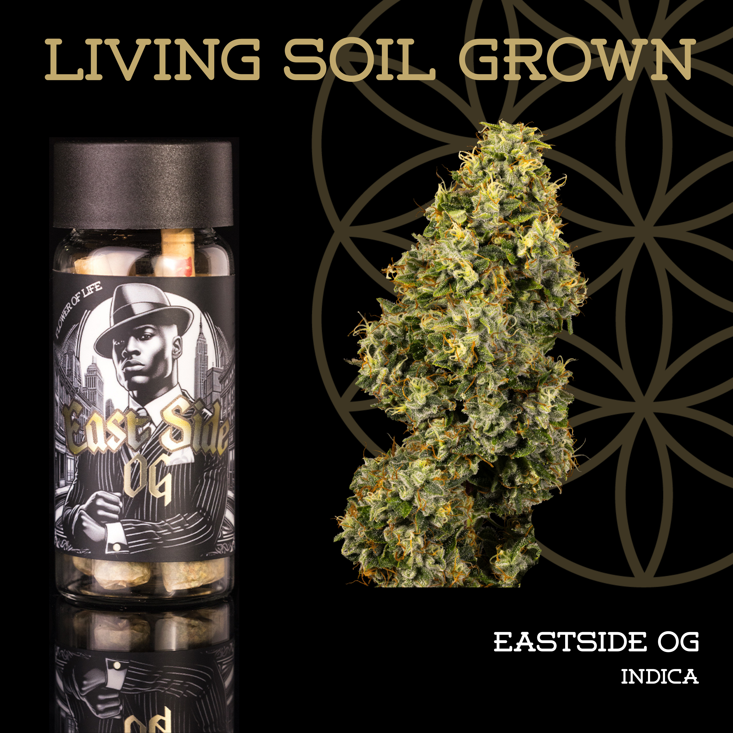 Living Soil | Eastside OG | Pre-Roll 5-Pack | 2.5g