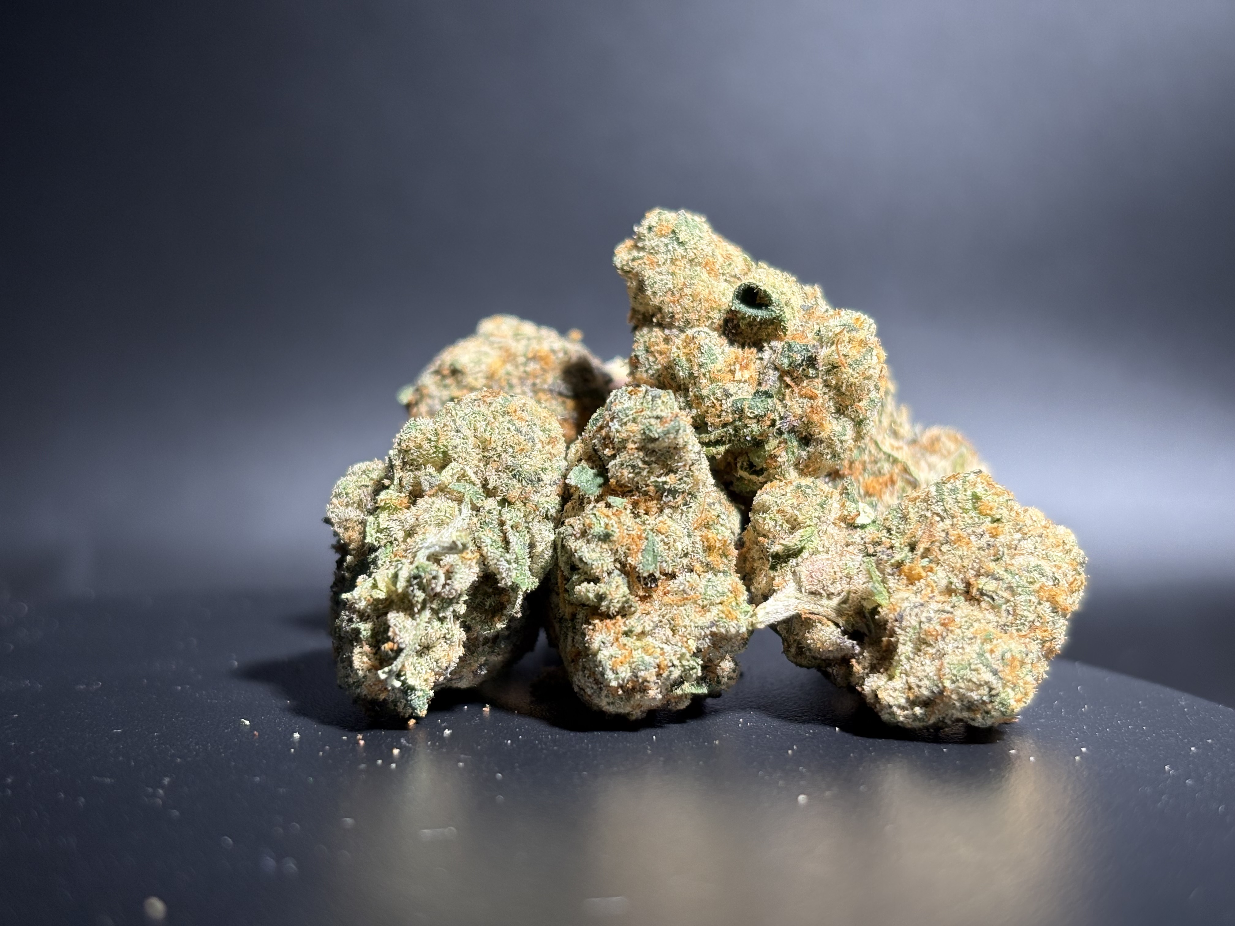 Pure Bliss Farms - Flower - Bulk - Gusherz