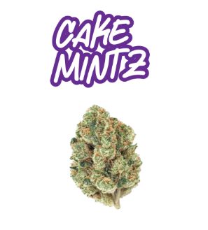 Fade Co Prepack Cake Mintz