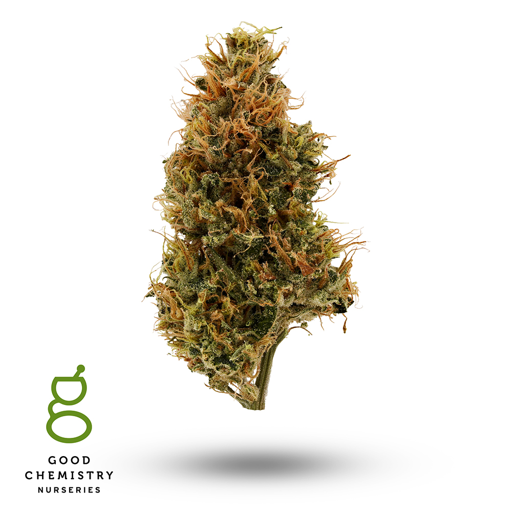Durban Poison
