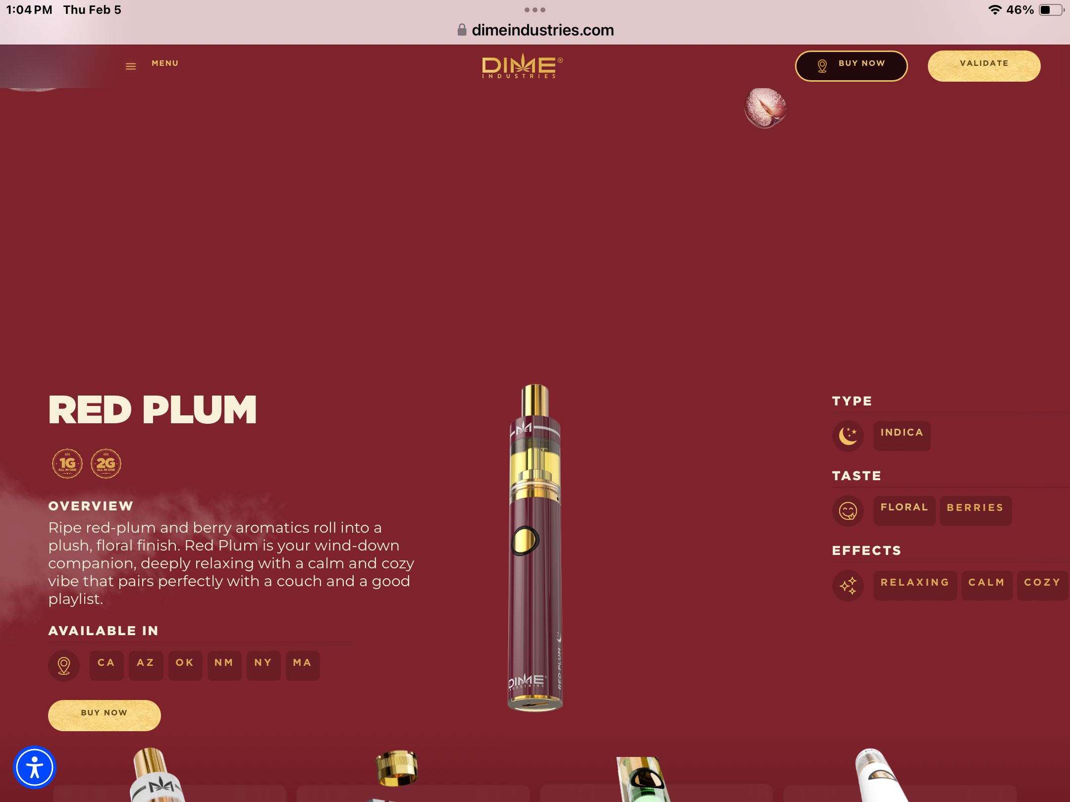 VAPE DI RED PLUM (I) DISPOSABLE