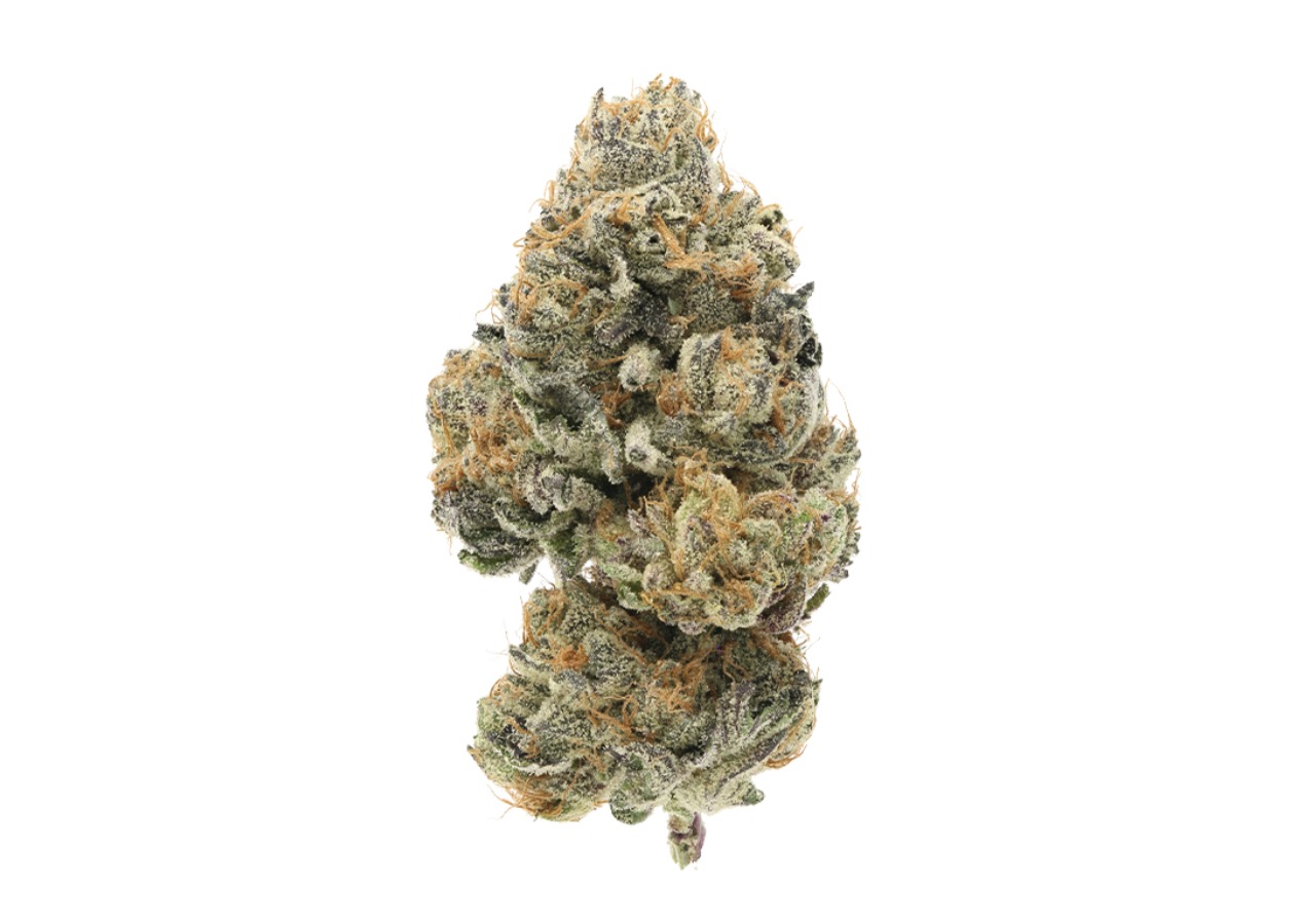 Montmorency | 3.5g