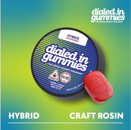 Strawberry | Rosin Gummies | 20 Pack