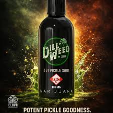 SHOT DILL WEED (H) 100MG