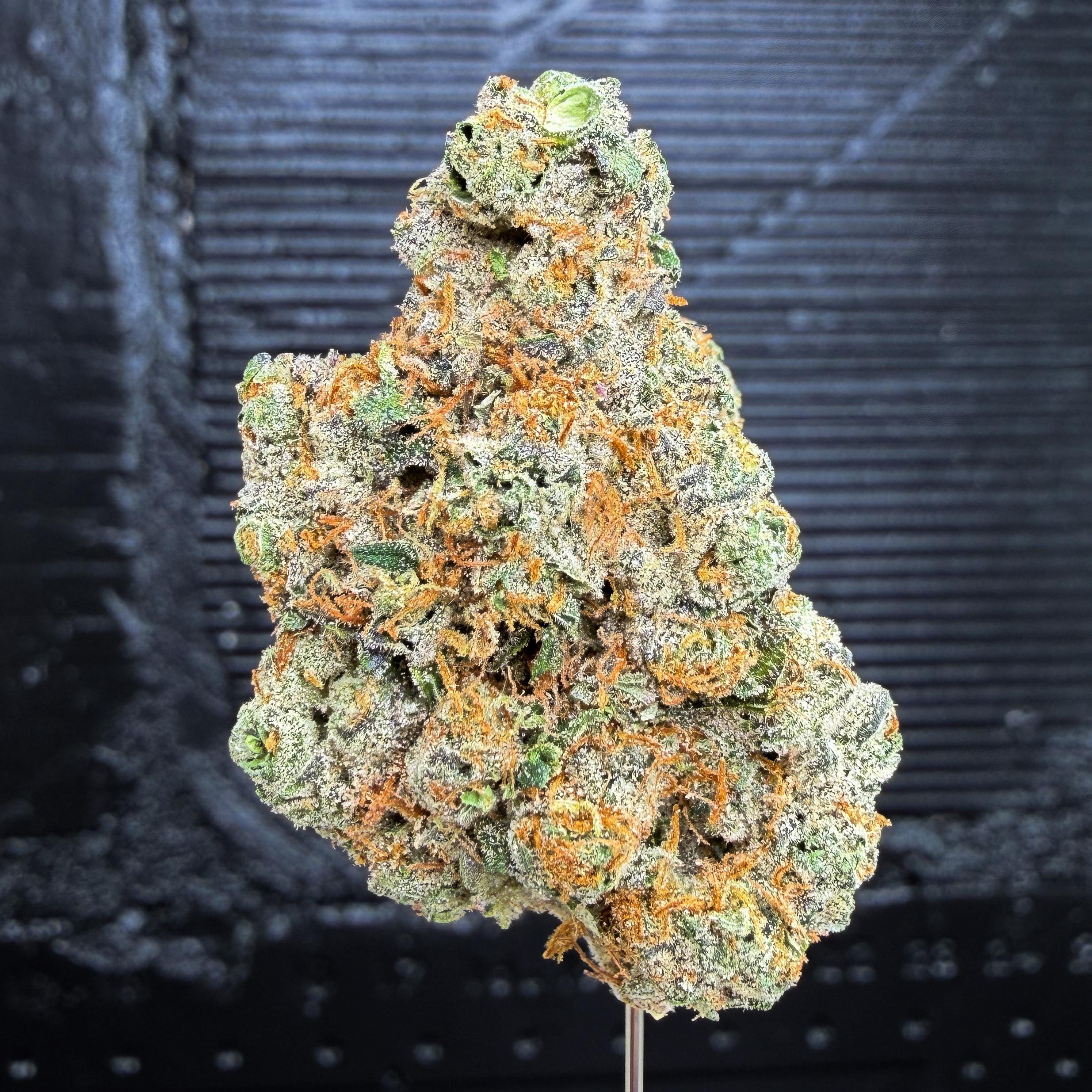 Kabuki Sour