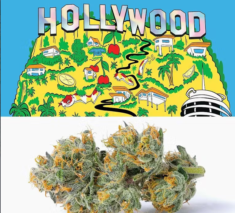 Cookie's - Hollywood - 3.5g - Flower