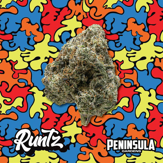 Peninsula Gardens - Bulk Flower - Runtz (Hybrid)