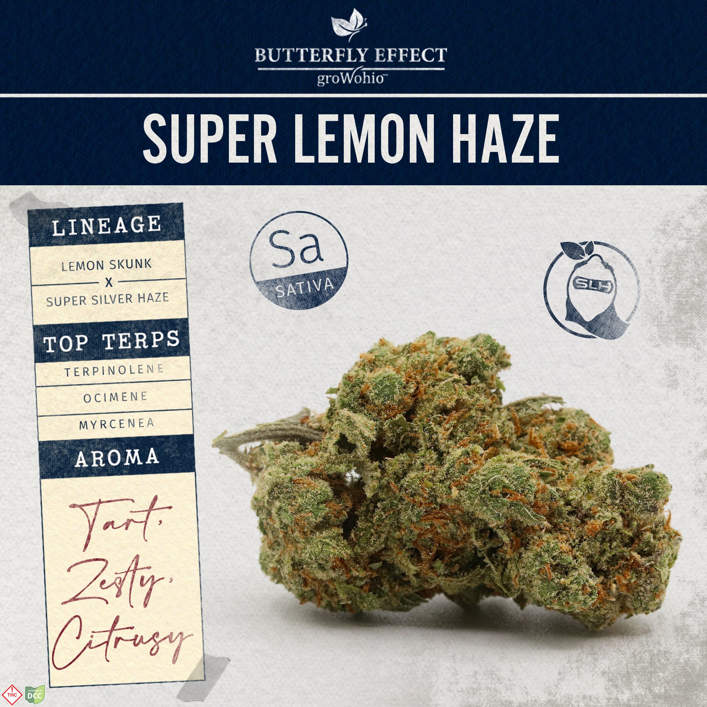 Butterfly Effect - SLH Budlets - Flower - 14.15g