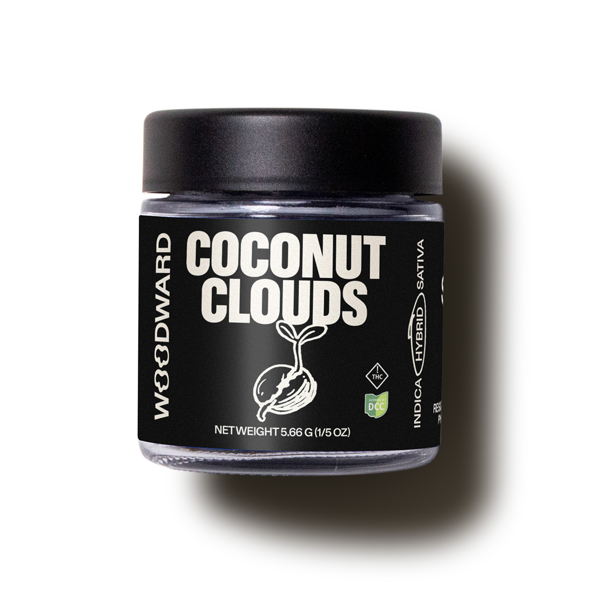 Coconut Clouds