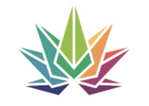 High Falls Canna | Candy Whippetz | Indica | 24.9% THC | Flower 3.5