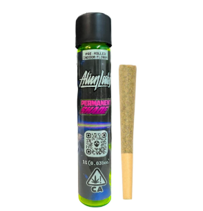 Permanent Shade [H] - Preroll