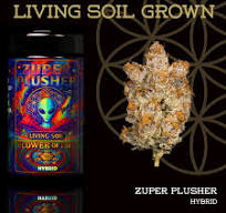 Pre-Rolls (5 pack) - Zuper Pusher