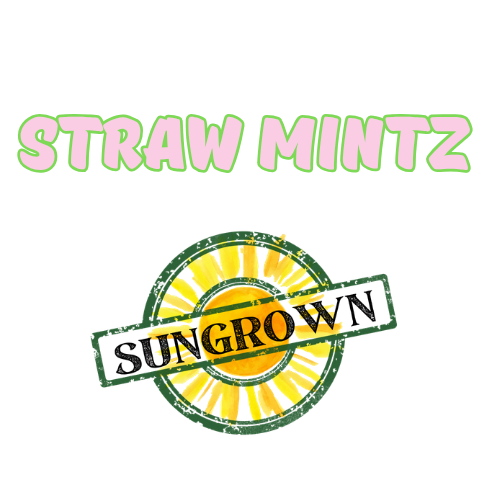 Mixed Buds - Straw Mintz - Brute's Roots - MED - 3.5g in Paulsboro