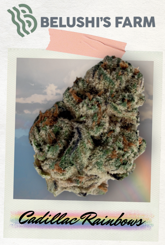 Cadillac Rainbow 3.5g