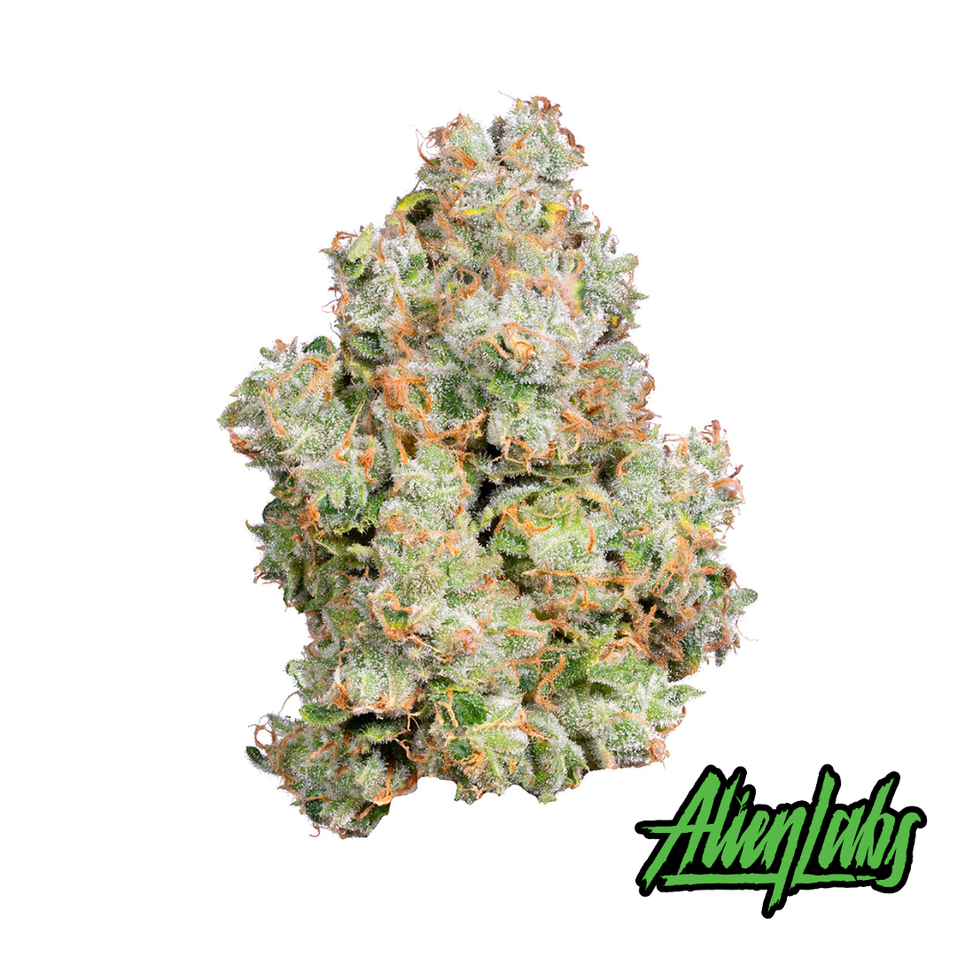 XJ-13 Flower 3.5g