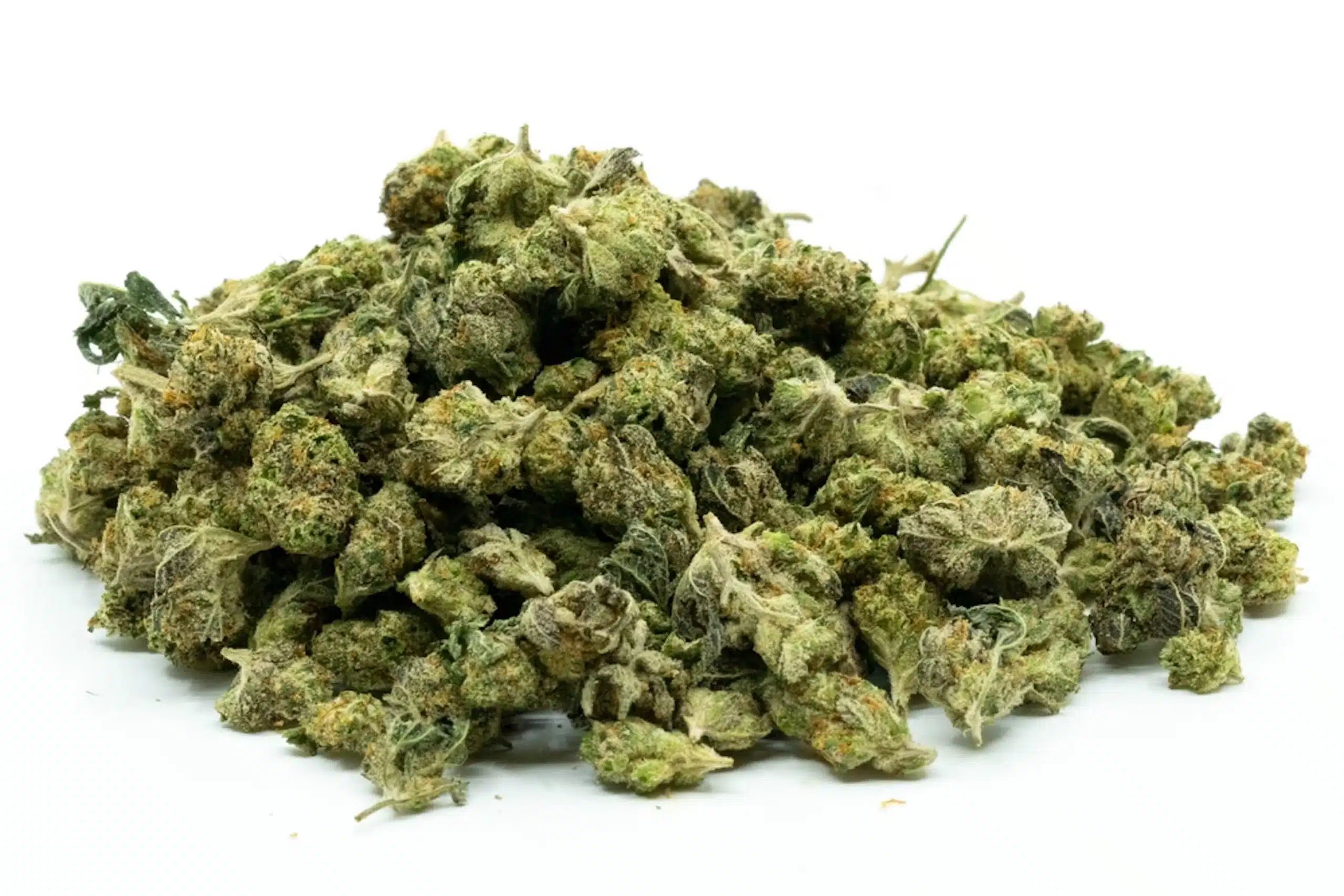 - Bulk Flower - Le'Moon Cake [H] (Popcorn)