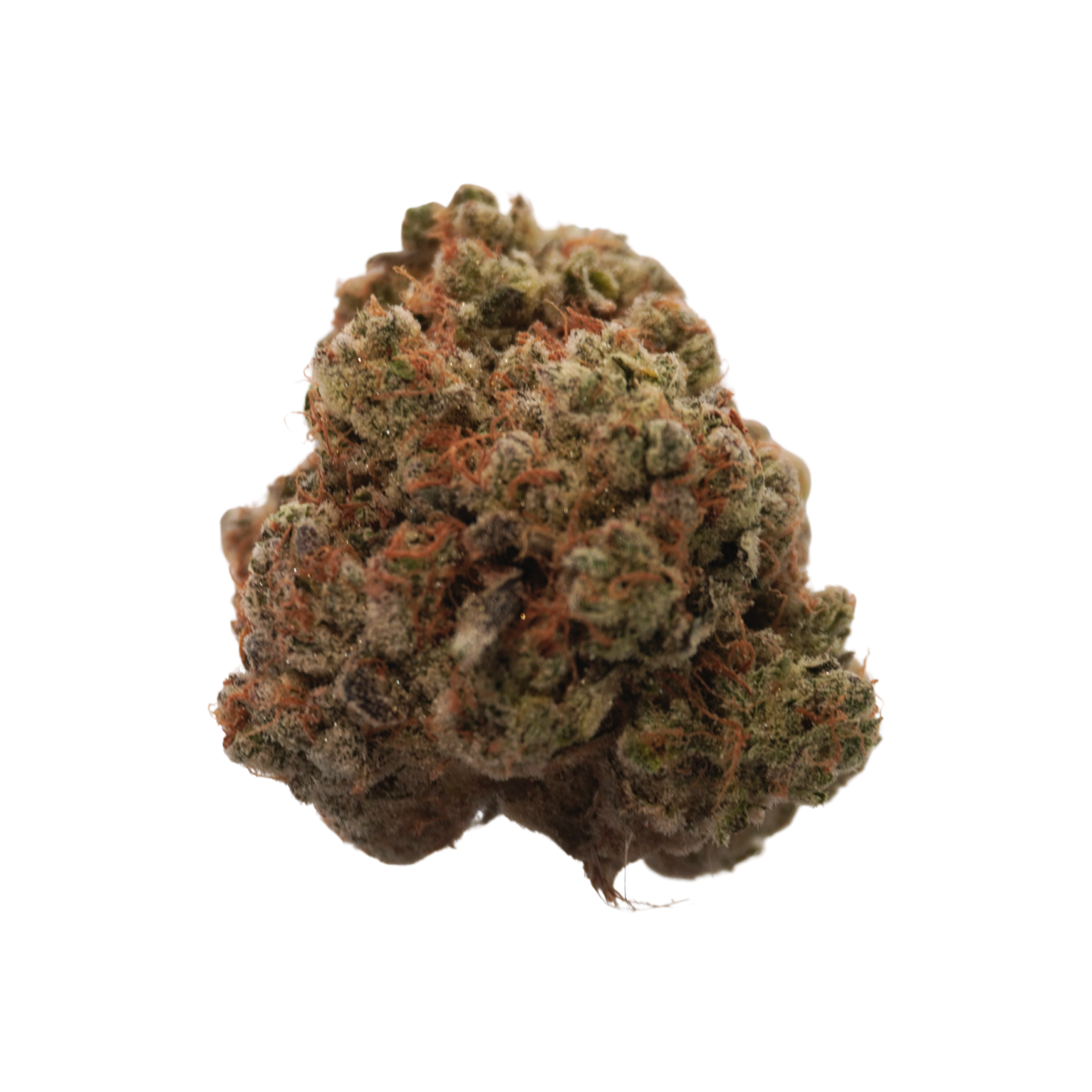 First Fire | Pineapple Donut Flower [F-11-12]