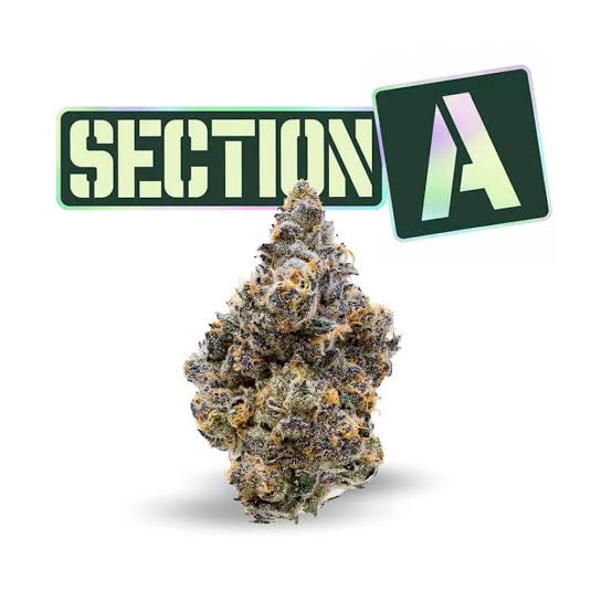 Section A - - Holy Grail by Fade Co.