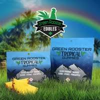 100mg Tropical Variety Gummies