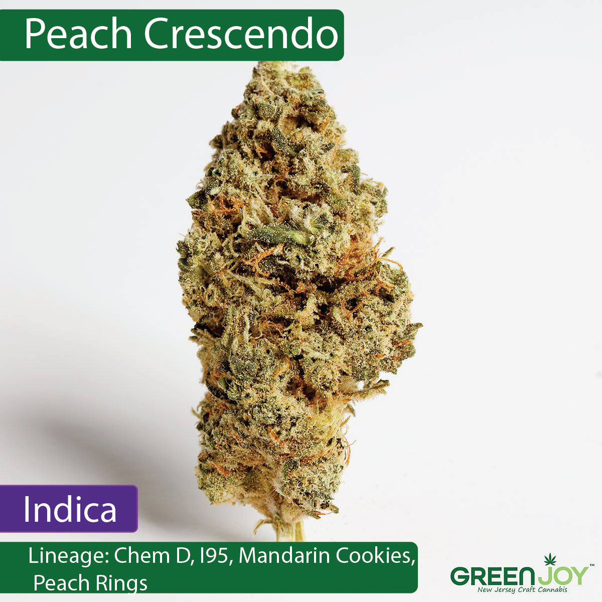 Peach Crescendo | Flower | 3.5G