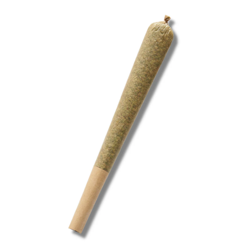 Csf Wrank Preroll
