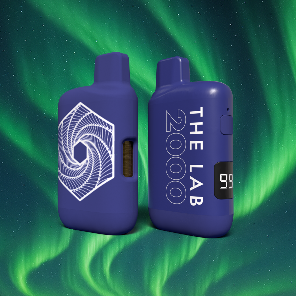 Northern Lights: All-In-One