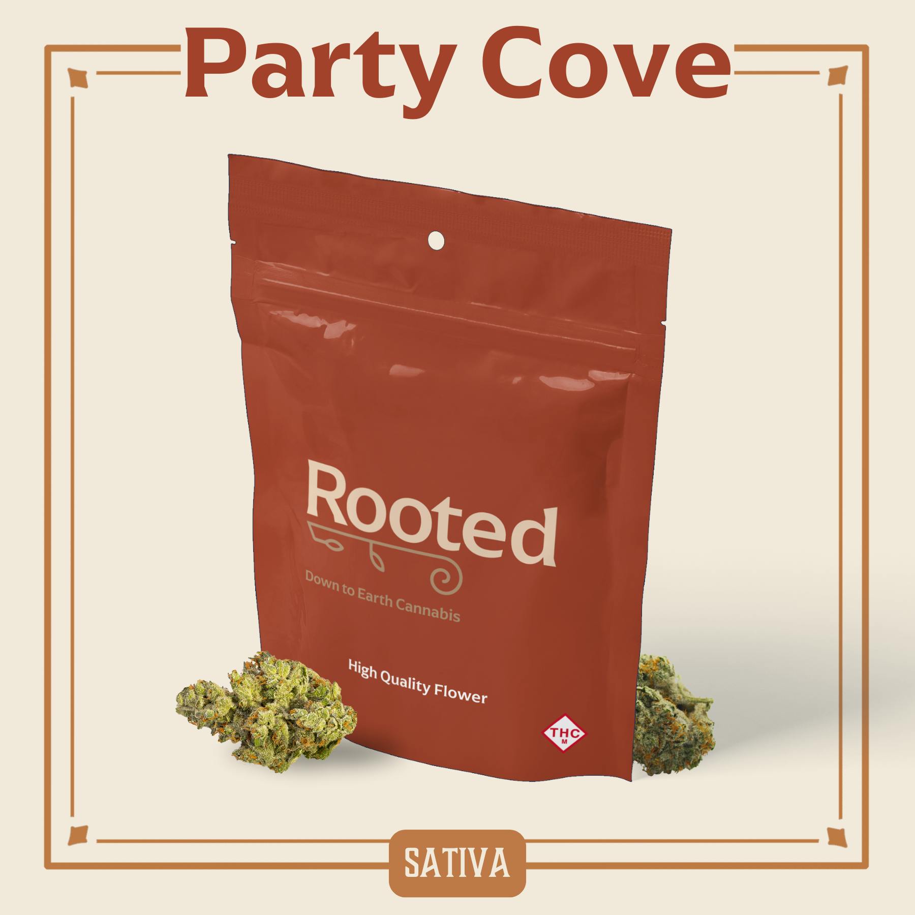 Party Cove