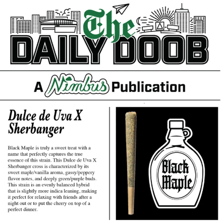 The Daily Doob - Black Maple | Preroll