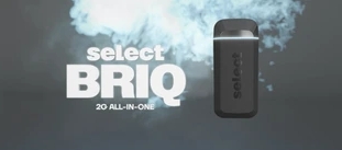 Select Briq - Permanent Marker - 2g - Disposable Vape