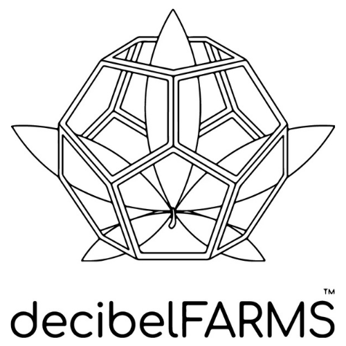 Decibel - Mega Rntz #1 Live Rosin
