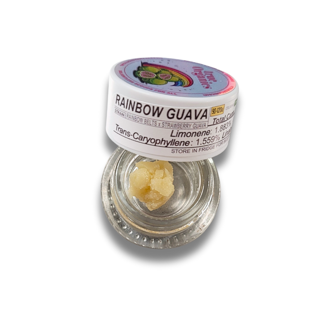 IKHCO x True Organics | Rainbow Guava | Live Rosin | 1g
