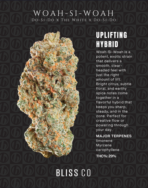 Bliss Co  Buds | Woah Si Woah