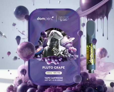 Cartridge Evol Future Pluto Grape