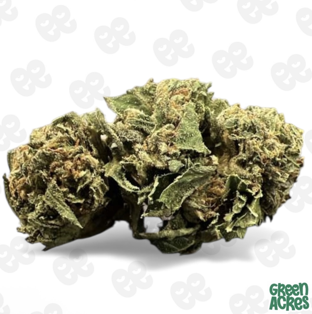 DDR: Gello Gelato 28G Prepackaged Flower (H)