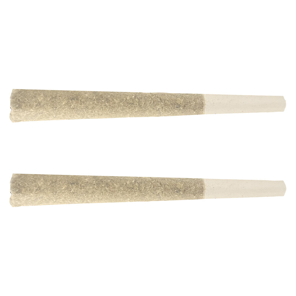 Stunnerz Indica Prerolls 2x1g