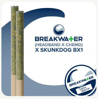 BW - (Headband x ChemD) x Skunkdog Bx1 - 2pk PreRoll