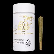 Gelato 10pk Prerolls