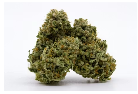 Gelato Mintz OG