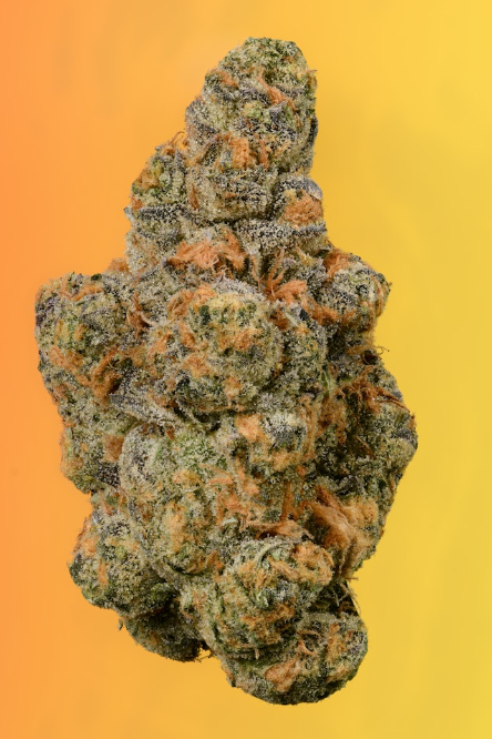 Flower | Cookies | Fried Bananas | 3.5g Whole Bud