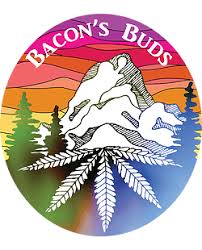 Bootylicious 1g Live Resin Badder by Bacon's Buds (DOH)