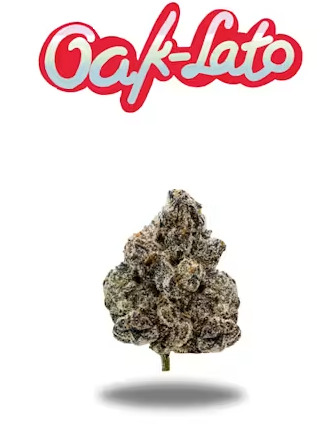 OakFruitLand - Oak-Lato (h) - 3.5g