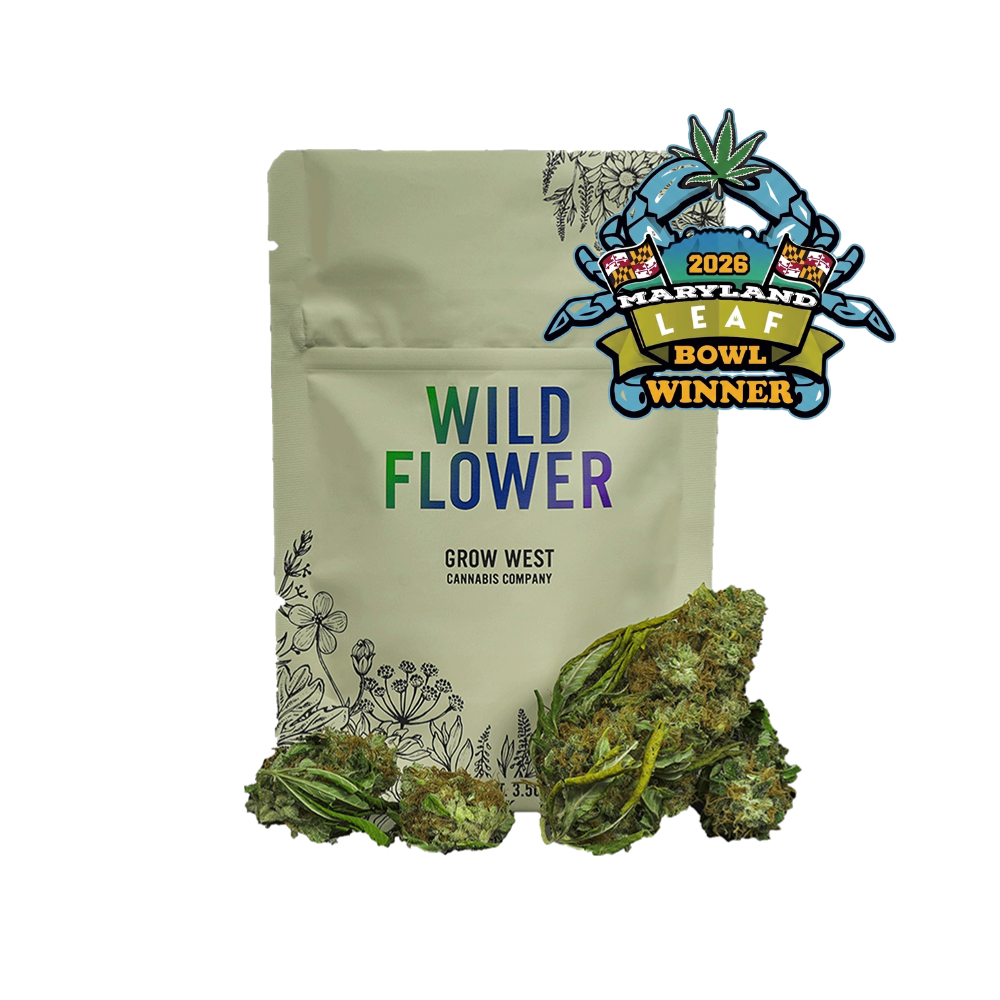 Lemondary | Wildflower | Sun-Grown Untrimmed Flower