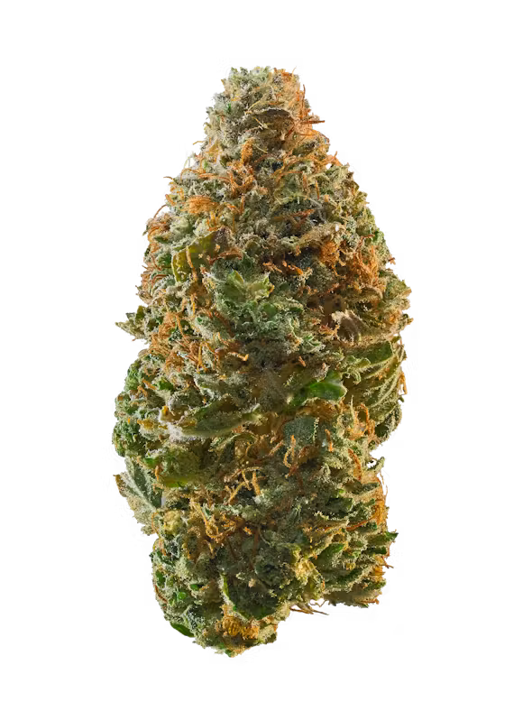 Tahiti Lime #3 | 3.5G