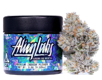 Alien Labs Creme de Menthe Indoor Flower