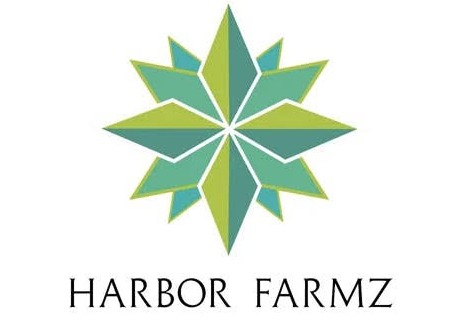 Harbor Farmz HTE Terp Sauce Brush - Flavor Town