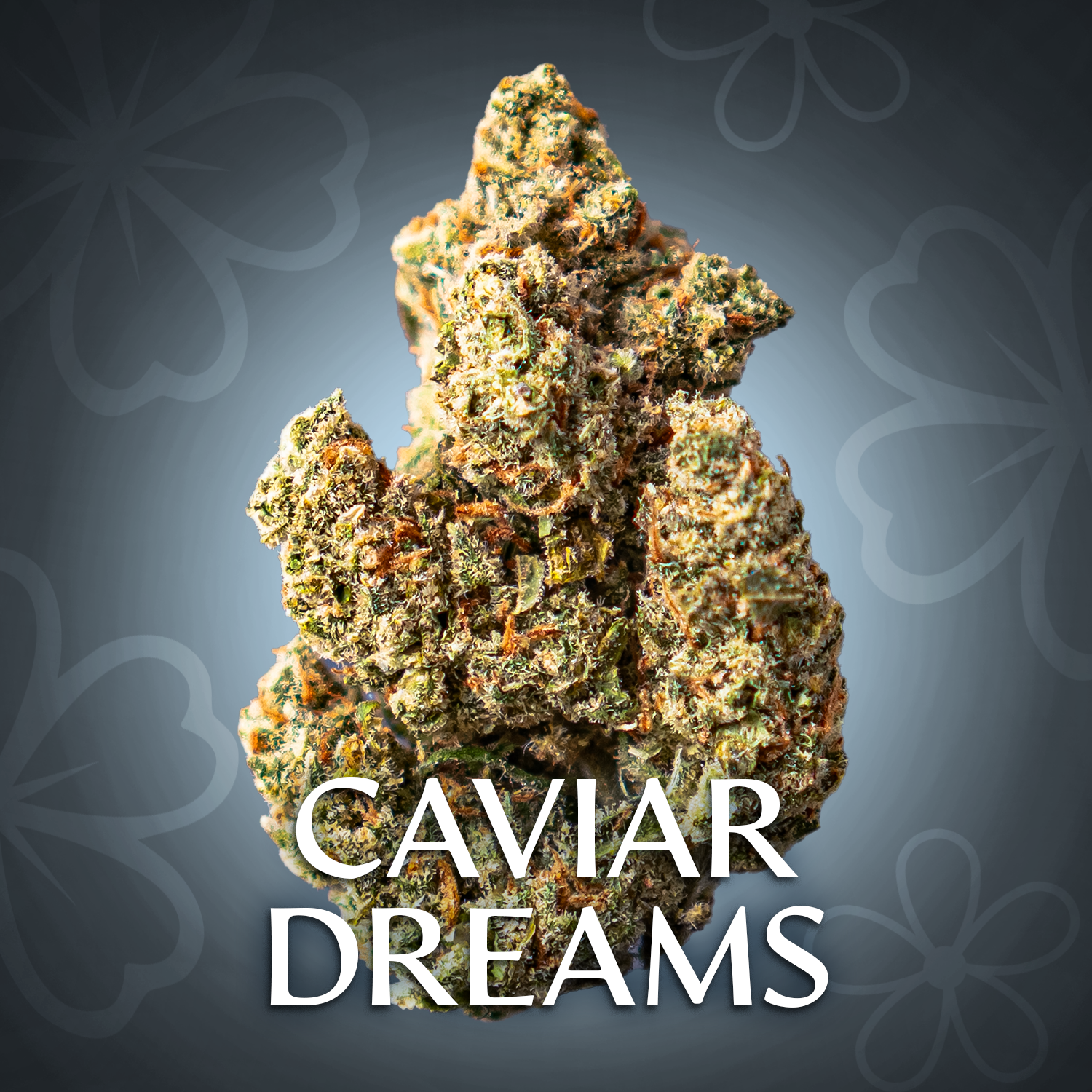 Caviar Dreams